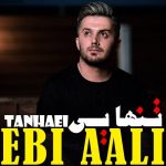 دانلود آهنگ مازندرانی تنهایی از ابی عالی